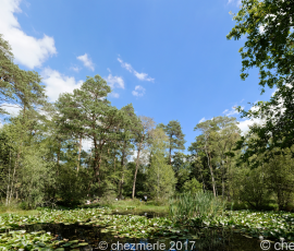 Panorama Piat